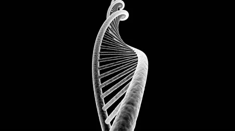 Rotating DNA Seamless Loop 스톡 동영상 58344724