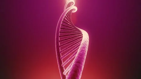 Rotating DNA Seamless Loop Stock Footage 58345071