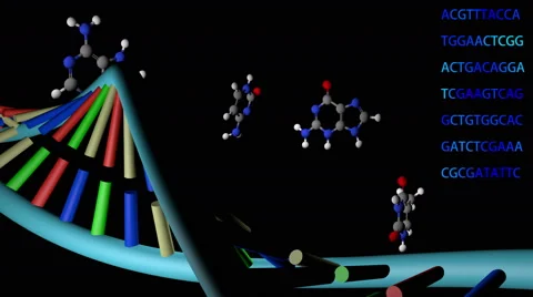 Rotating dna strand with amino base molecules 4KUHD Stock Footage 46815079