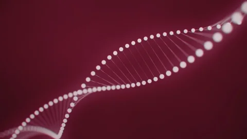 Rotating Dna strand formed by white luminous molecules on a red background Stock Footage 102581460