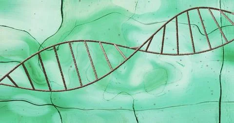 Rotating dna strand over distorting liquid blue background Foto stock