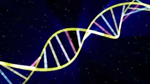 Rotating dna string macro close up Stock Footage 135569713