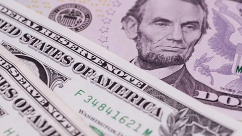 Rotating dollar  Stock Footage 162669897