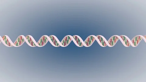 Rotating double helix DNA isolated, with alpha Stock Footage 80509841