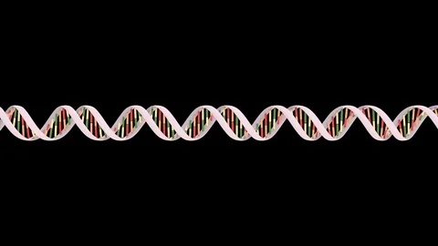 Rotating double helix DNA isolated on black with alpha Stock Footage 80509850