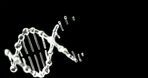 Rotating Double Helix Structure Made of Glass Molecules Appearing and Rotating Stock Footage 321431932