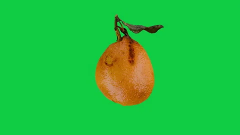 Rotating Dried Citrus Fruit Isolated on Green Screen. Fruit food loop concept. Stock Footage 339751606