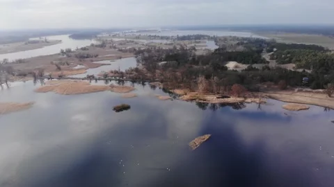 Rotating drone flight over Lower Oder Valley in Poland in in Eastern Europe Stock Footage 218161049