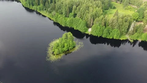 Rotating drone shot above a forest lake Stock Footage