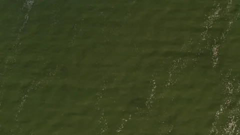 Rotating drone shot over upstate new york lake as bird flies underneath Stock Footage 140092628