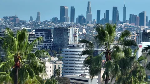 Rotating drone shot of palm tree foreground Downtown Los Angeles background Stock-Footage 335882288