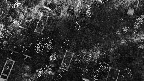 Rotating drone shot revealing a big Graveyard. Tombs in a large cemetery with Stock Footage 132075422