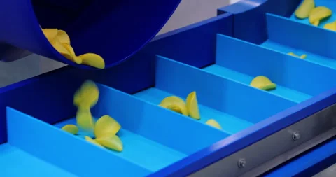 Rotating drum drops potato chips into blue conveyor compartments. Automated Stock Footage 346227700