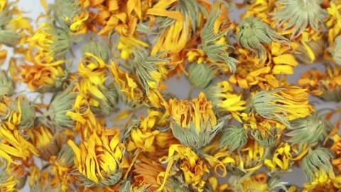 Rotating dry calendula flowers - close up view. Stock Footage 149840980