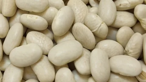 Rotating dry white beans macro close up Stock Footage 345164086