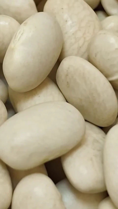 Rotating dry white beans macro close up - Vertical Version Stock Footage 345164094