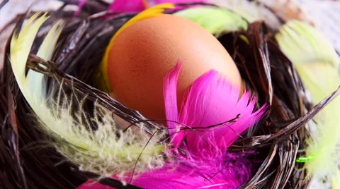Rotating Egg around feather  Stock Footage 59784766
