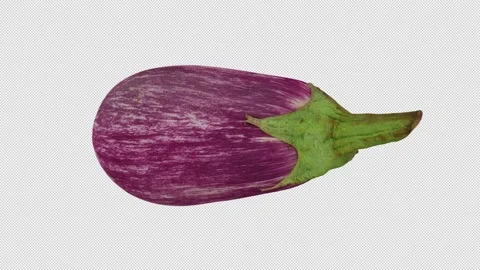 Rotating Eggplant on Transparent Background (Looping with Alpha Channel) 스톡 동영상 139745318