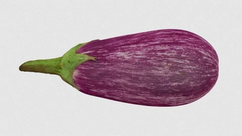 Rotating Eggplant on Transparent Background (Looping with Alpha Channel) Video stock 139745964