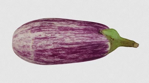 Rotating Eggplant on Transparent Background (Looping with Alpha Channel) Video stock 139776351