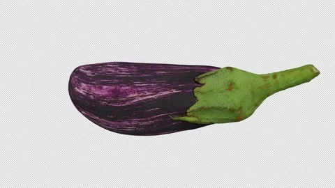 Rotating Eggplant on Transparent Background (Looping with Alpha Channel) 스톡 동영상 139778550
