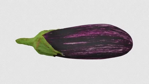 Rotating Eggplant on Transparent Background (Looping with Alpha Channel) Video stock 139780029