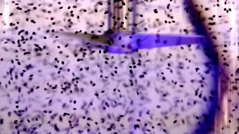 Rotating element in the water column Video stock 161216297