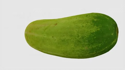 Rotating Emerald White Cucumber on Transparent Background (Looping) Stock Footage 150233783