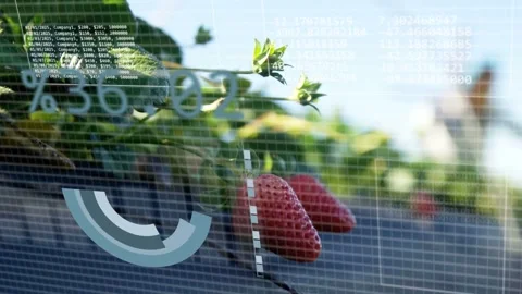 Rotating faceted triangle appearing and morphing into pie, HUD charts analysing Stock Footage 335739339