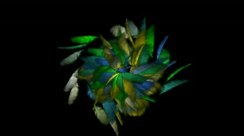 Rotating feathers fancy pattern. Stock Footage 810080