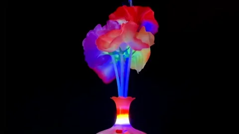 Rotating Fiber Optic Flowers Stock Footage 162576316
