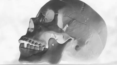 Rotating flashing skull. Stock Footage