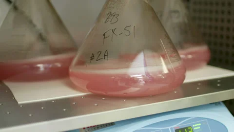 Rotating flasks closeup Stock Footage 161257735