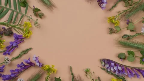 Rotating floral circular composition or frame with wildflowers, spikelets, herbs Stock Footage 196098101
