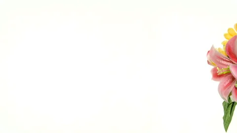 Rotating Flower Stock Footage 91327449