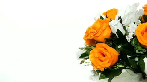 Rotating Flower 库存影片 91327457