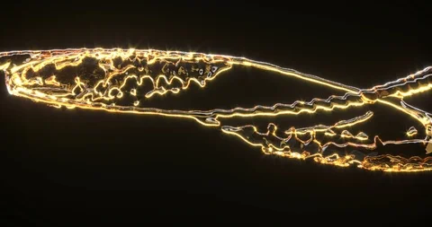 Rotating fluid circle 3d realistic footage Video stock 114986273