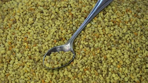 Rotating fresh bee pollen granules background with spoon Stock Footage 170224891