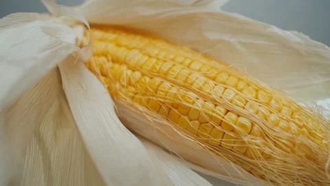 Rotating fresh corn on the cob closeup Stock Footage 197636792