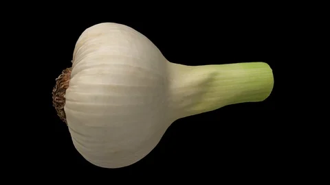 Rotating Fresh Garlic on Black Background (Looping) Stockbeeldmateriaal 98436747