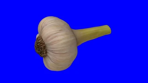 Rotating Fresh Garlic on Blue Background (Looping) Stockbeeldmateriaal 98437780
