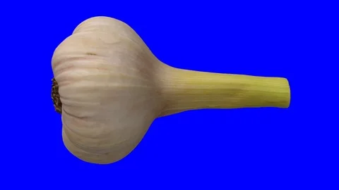 Rotating Fresh Garlic on Blue Background (Looping) 스톡 동영상 98438610