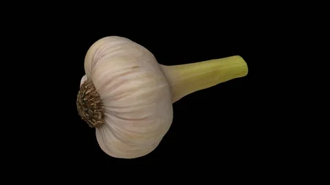 Rotating Fresh Garlic on Transparent Background (Looping wirh Alpha Channel) Video stock 98437655