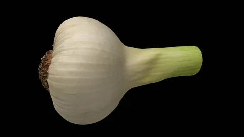 Rotating Fresh Garlic on Transparent Background (Looping with Alpha Channel) Stock Footage 98494647