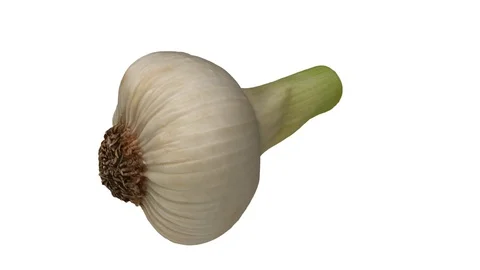 Rotating Fresh Garlic on White Background (Looping) Stockbeeldmateriaal 98436178