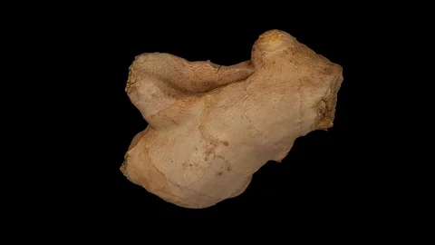 Rotating Fresh Ginger on Black Background (Looping) Stock Footage 98474149