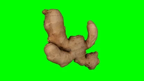 Rotating Fresh Ginger on Green Background (Looping) Stock Footage 97742466
