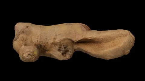 Rotating Fresh Ginger on Transparent Background (Looping with Alpha Channel) Stockbeeldmateriaal 97744753