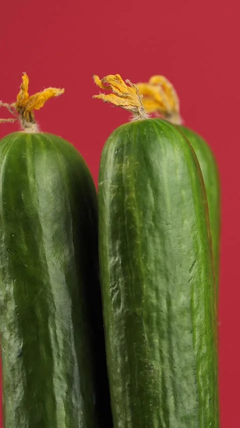 Rotating fresh green cucumbers on a red background. Healthy food concept. Food Stock Footage 308045132