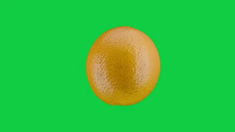 Rotating Fresh Orange with Stem Isolated on Green Screen. Fruit food loop concep Stock Footage 339751576
